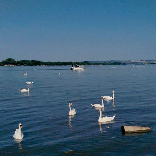 Photo #13697978