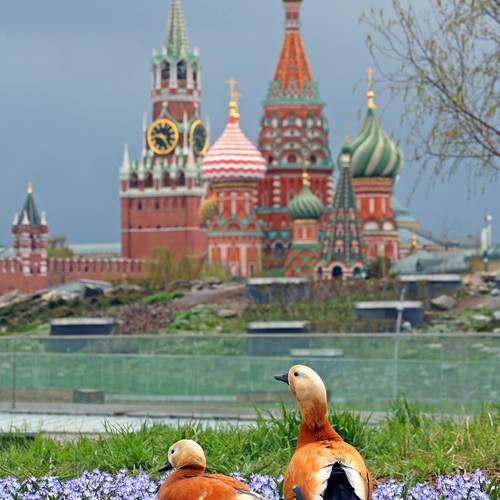 Photo #13697983