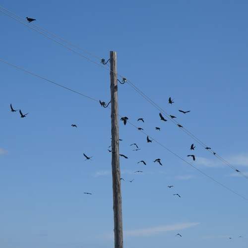 Photo #13697995