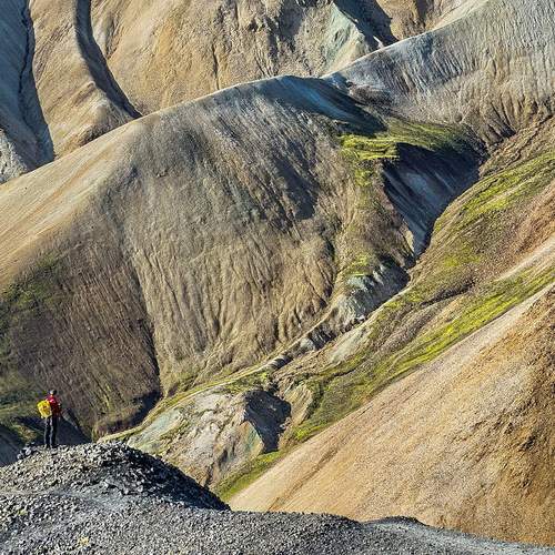 Photo #13698011