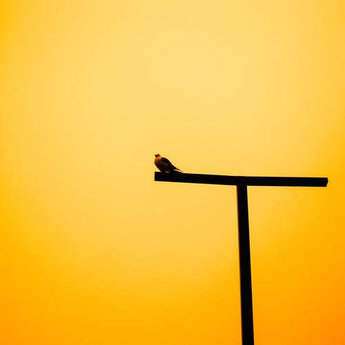 Photo #13698028