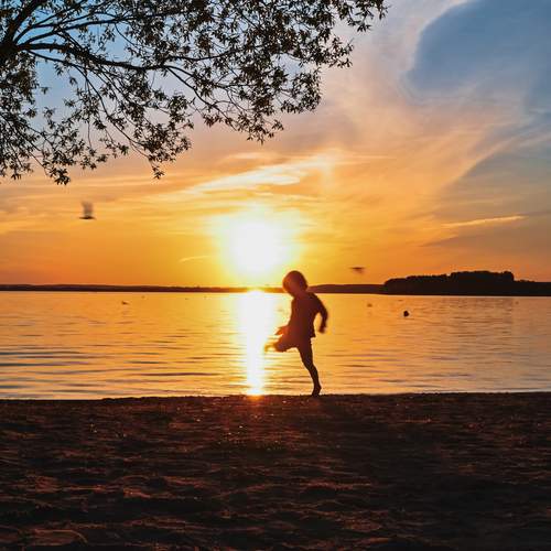 Photo #13698031