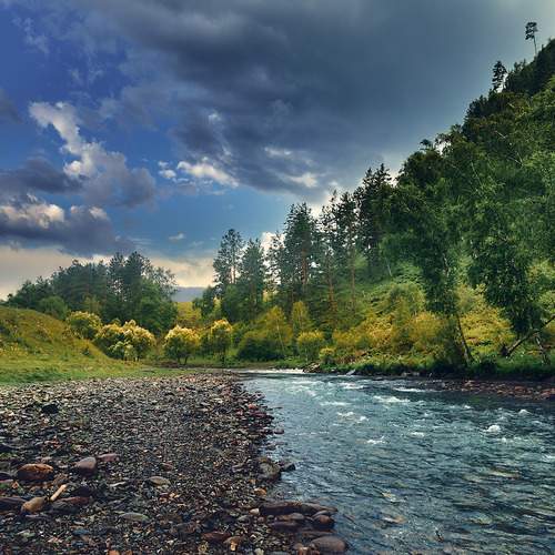 Photo #13698052