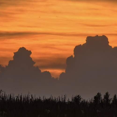 Photo #13698091