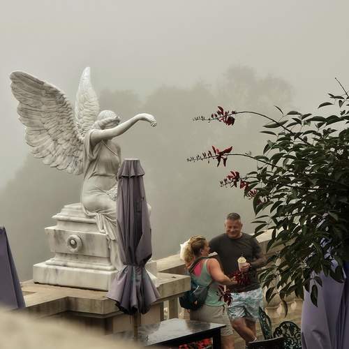 Photo #13698105