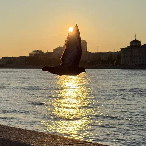 Photo #13698108