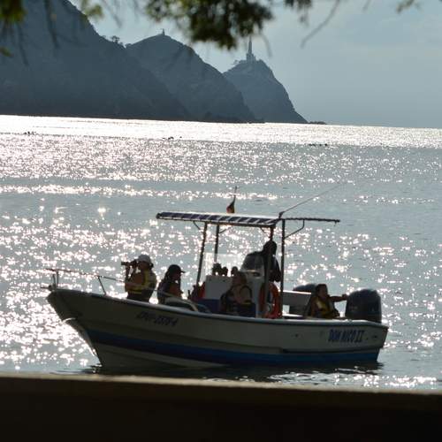 Photo #13698110