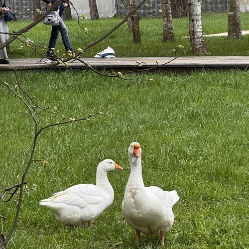Photo #13698122