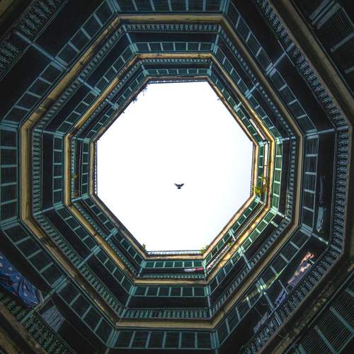 Photo #13698126