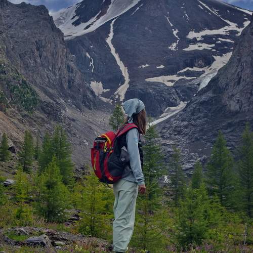 Photo #13698163