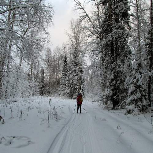 Photo #13698165