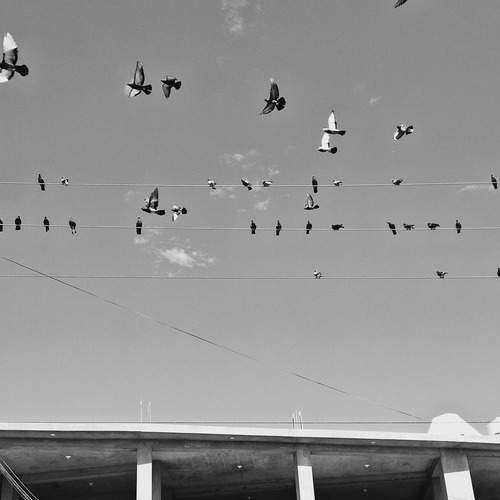 Photo #13698210