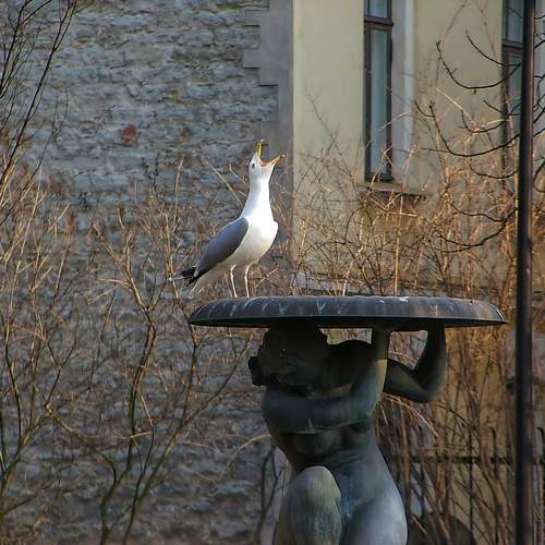 Photo #13698222
