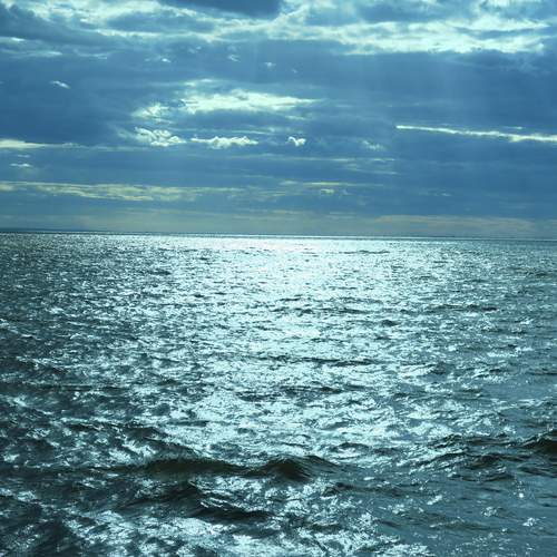 Photo #13698265