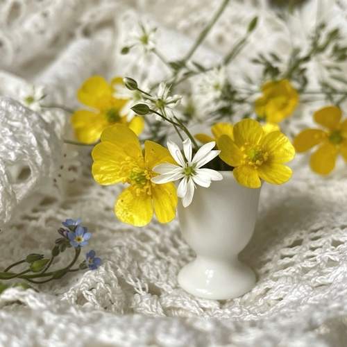 Photo #13698346