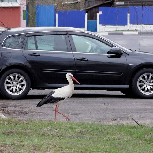 Photo #13698376