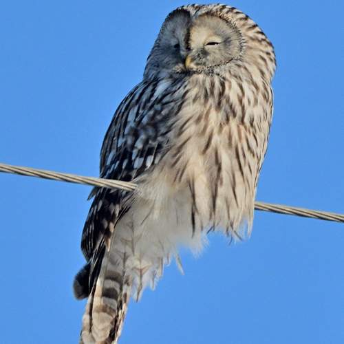 Photo #13698385