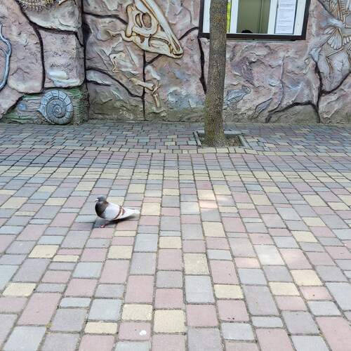 Photo #13698397
