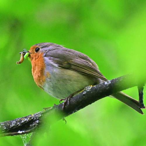 Photo #13698406