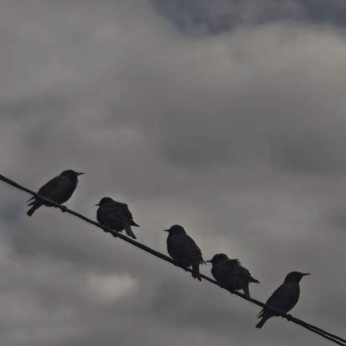Photo #13698409