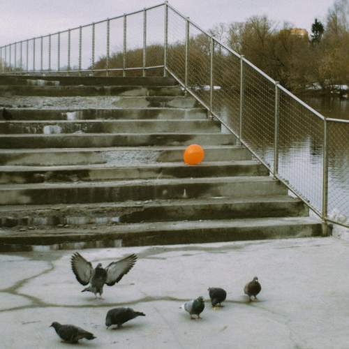 Photo #13698415