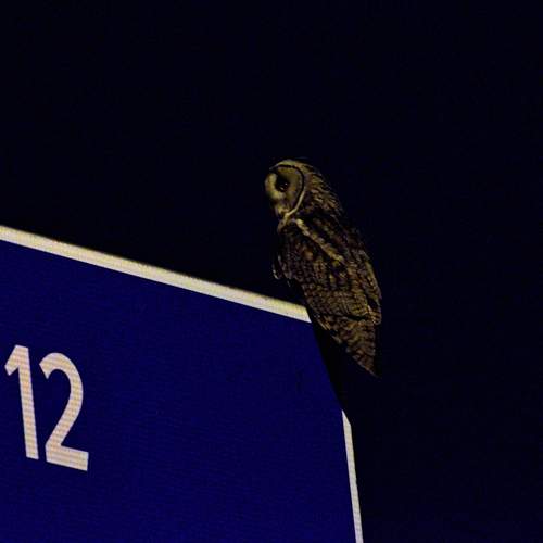 Photo #13698420