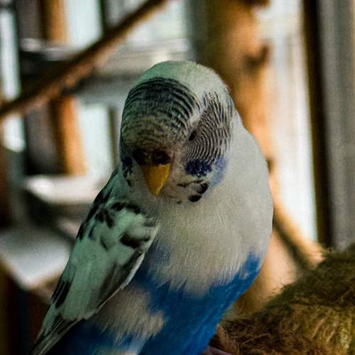 Photo #13698461