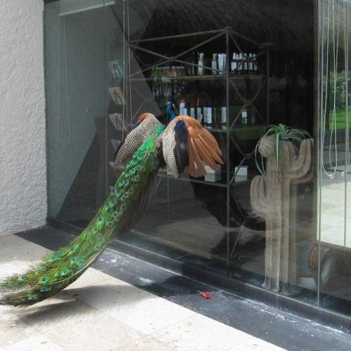 Photo #13698510