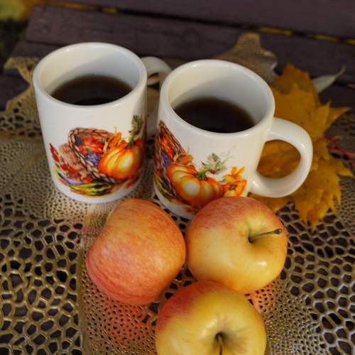 Photo #13698566
