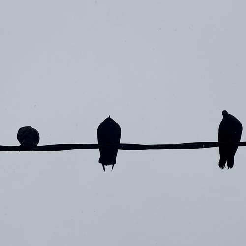 Photo #13698569