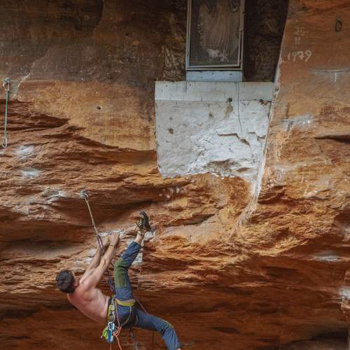 Photo #13698573