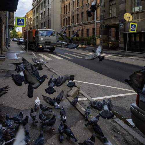 Photo #13698582