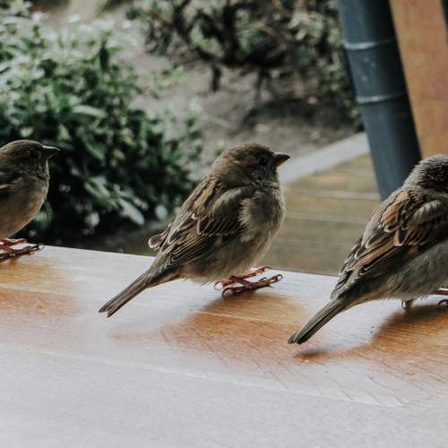 Photo #13698614