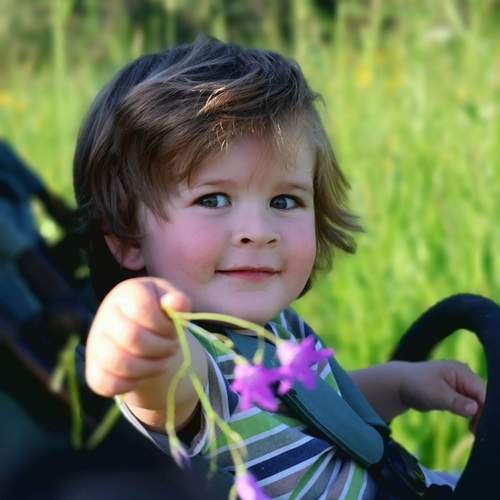 Photo #13698669