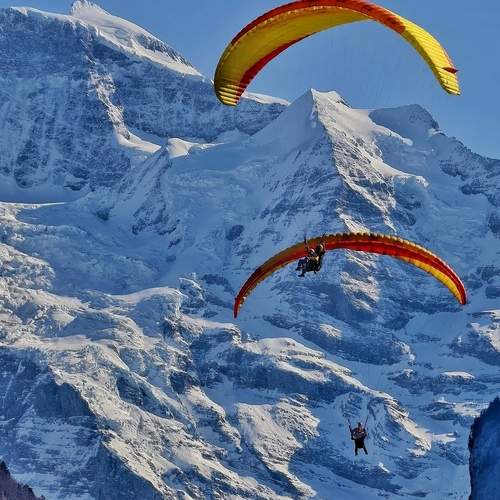 Photo #13698681