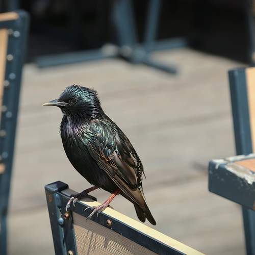 Photo #13698694