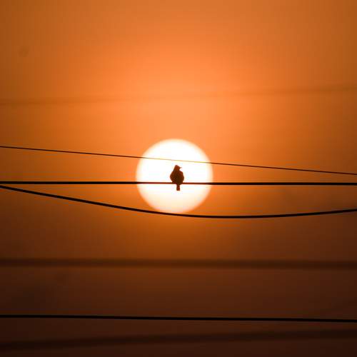 Photo #13698697