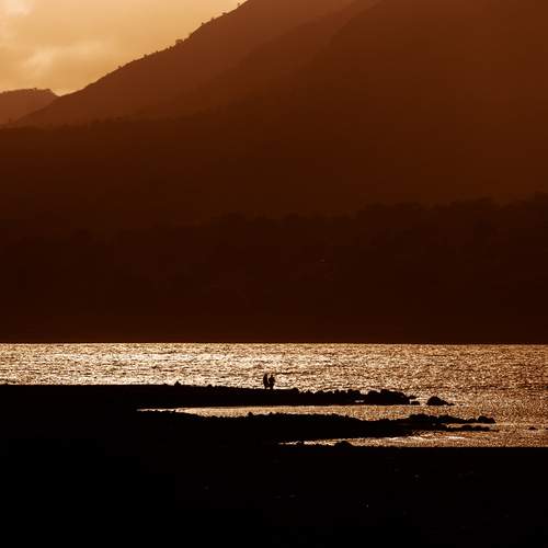 Photo #13698708