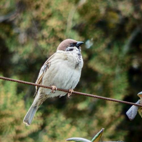 Photo #13698722