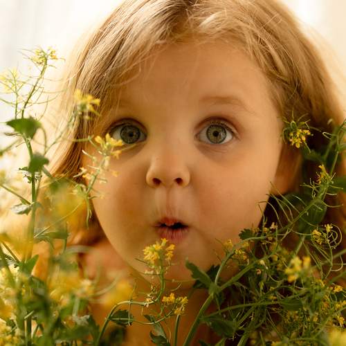 Photo #13698725