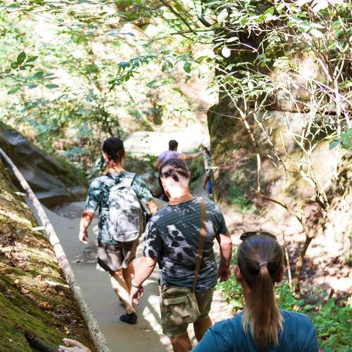 Photo #13698736
