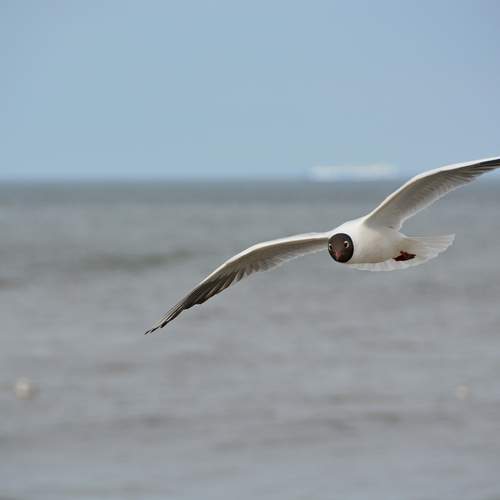 Photo #13698772
