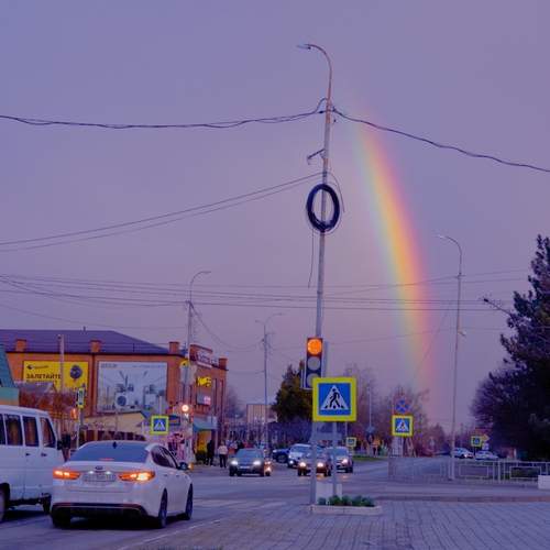 Photo #13698790