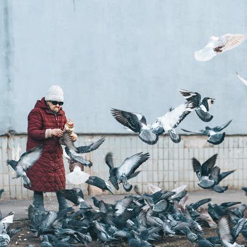 Photo #13698805