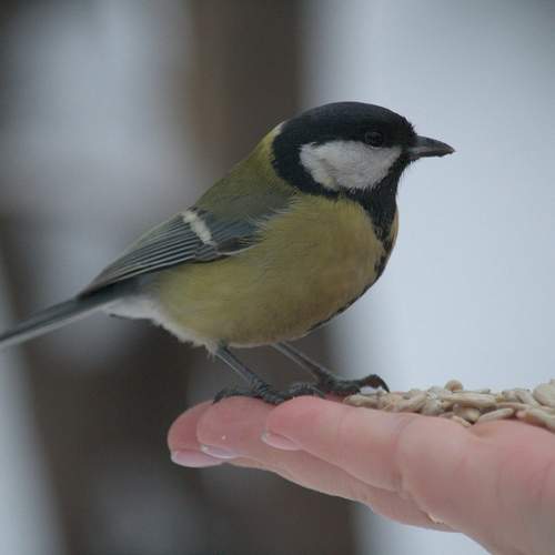 Photo #13698808