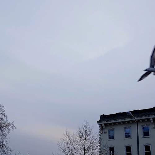 Photo #13698911
