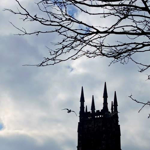 Photo #13698943