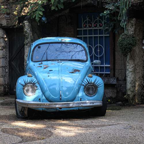 Photo #13698994