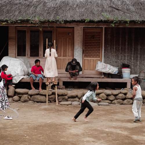 Photo #13699002