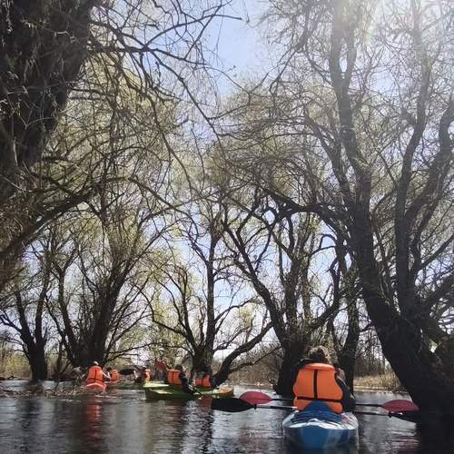 Photo #13699007
